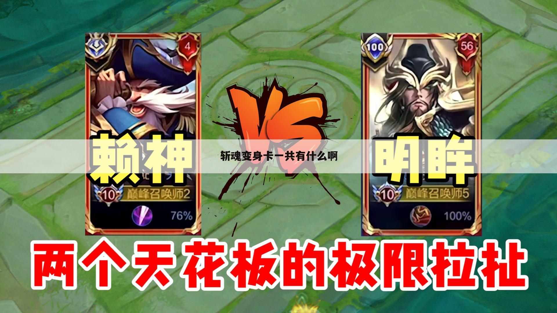 斩魂变身卡一共有什么啊