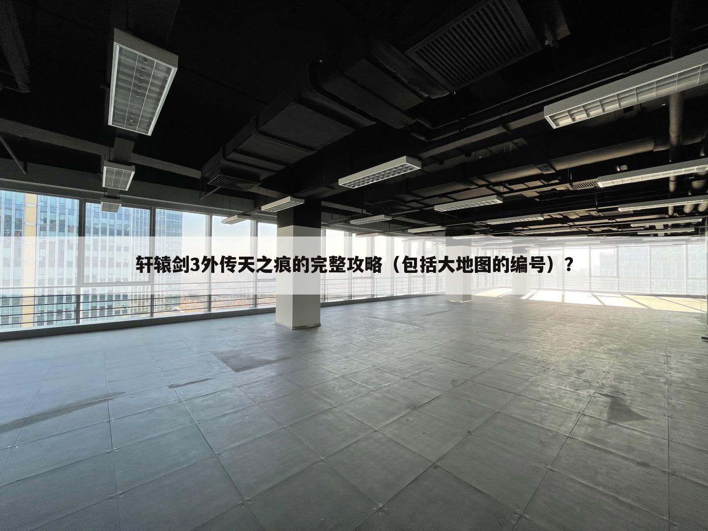 轩辕剑3外传天之痕的完整攻略(包括大地图的编号)?