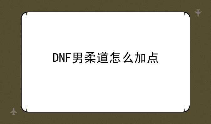 DNF男柔道怎么加点
