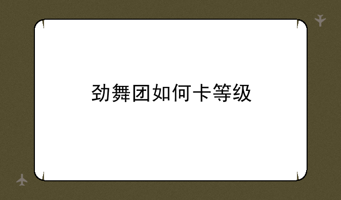 劲舞团如何卡等级