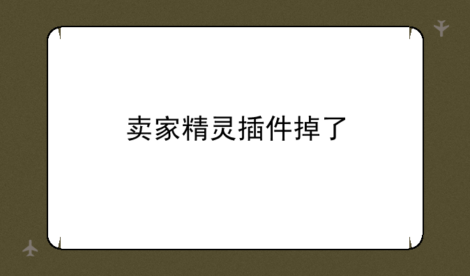 卖家精灵插件掉了