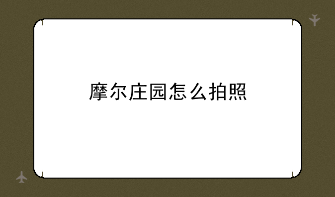 摩尔庄园怎么拍照