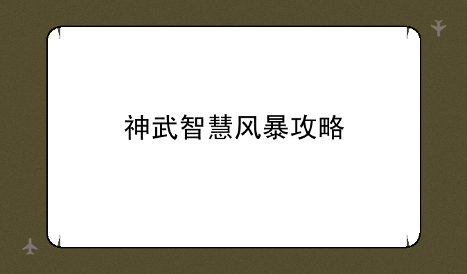 神武智慧风暴攻略