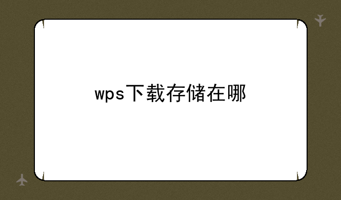 wps下载存储在哪