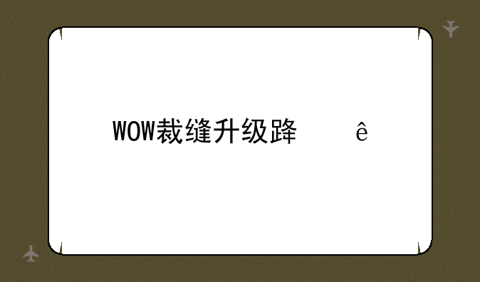 WOW裁缝升级路线