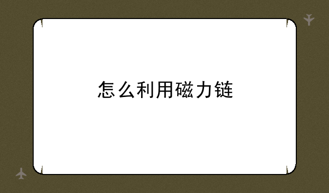 怎么利用磁力链