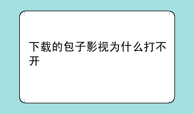 下载的包子影视为什么打不开