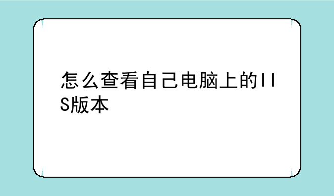 怎么查看自己电脑上的IIS版本