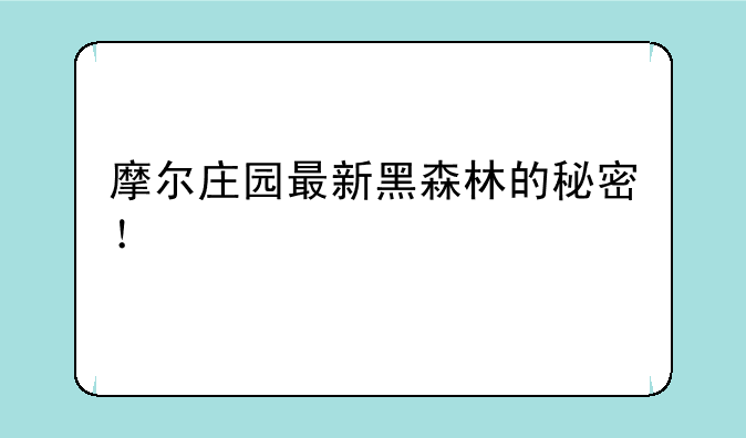 摩尔庄园最新黑森林的秘密！
