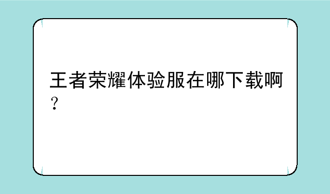 王者荣耀体验服在哪下载啊？