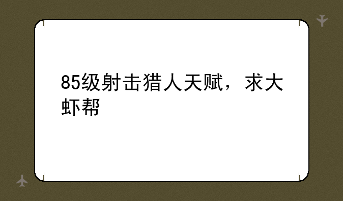 85级射击猎人天赋，求大虾帮忙