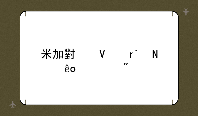 米加小镇有哪些游戏
