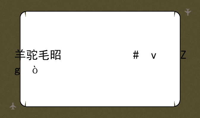 羊驼毛是什么面料？