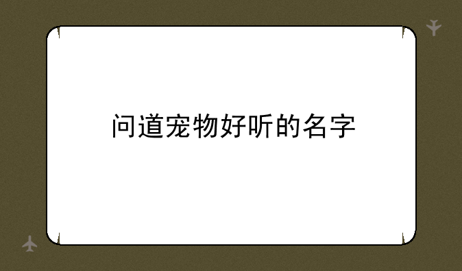 问道宠物好听的名字