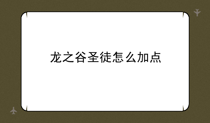 龙之谷圣徒怎么加点