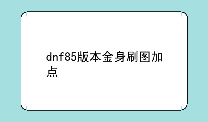 dnf85版本金身刷图加点