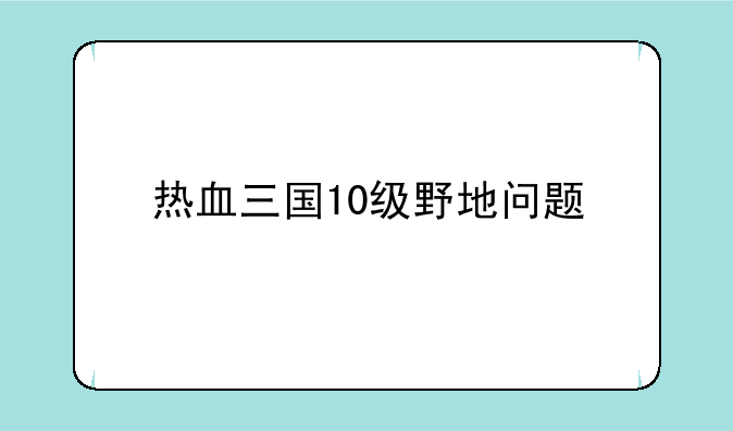 热血三国10级野地问题