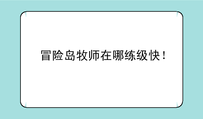 冒险岛牧师在哪练级快！