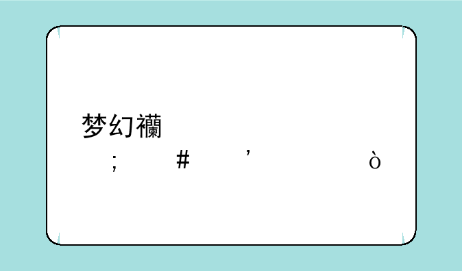 梦幻西游表情怎么安装？