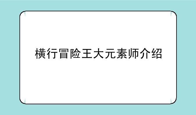 横行冒险王大元素师介绍