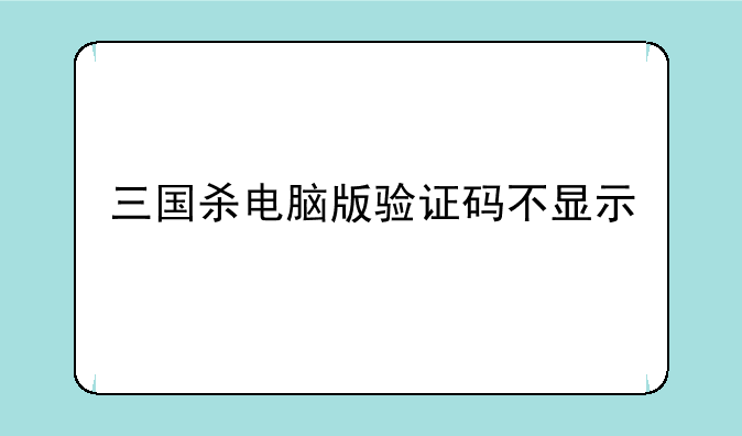 三国杀电脑版验证码不显示