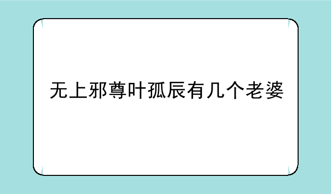 无上邪尊叶孤辰有几个老婆