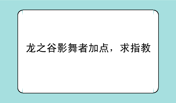 龙之谷影舞者加点，求指教