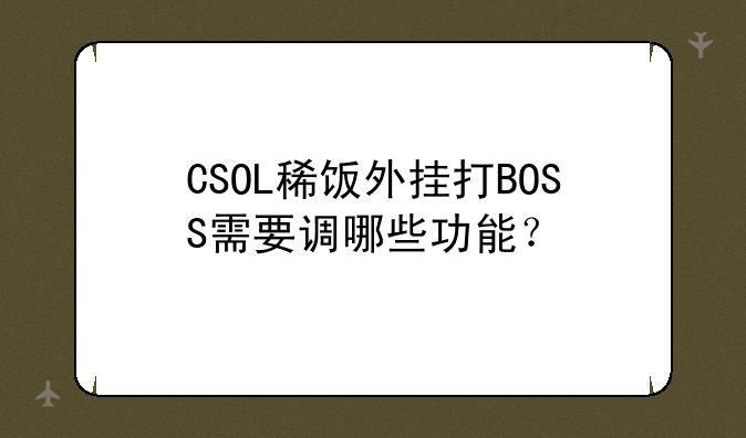 CSOL稀饭外挂打BOSS需要调哪些功能？