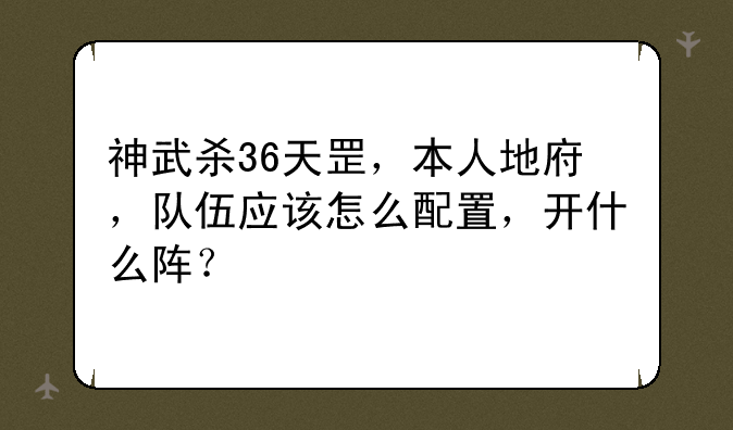 神武杀36天罡，本人地府，队伍应该怎么配置，开什么阵？