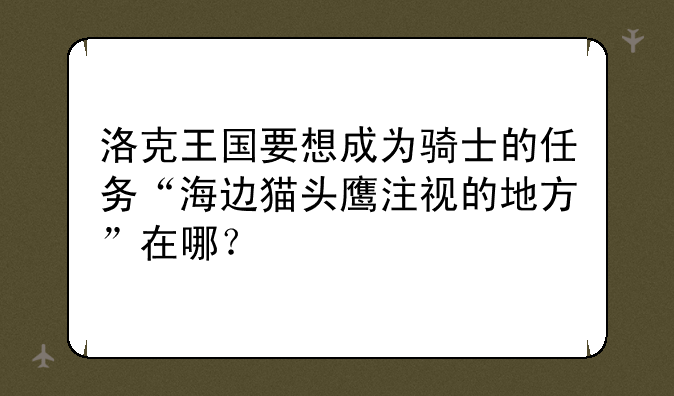 洛克王国要想成为骑士的任务“海边猫头鹰注视的地方”在哪？