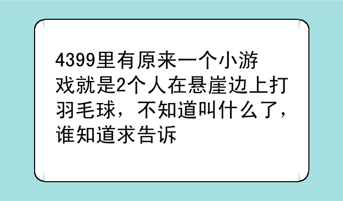 4399里有原来一个小游戏就是2个人在悬崖边上打羽毛球，不知道叫什么了，谁知道求告诉