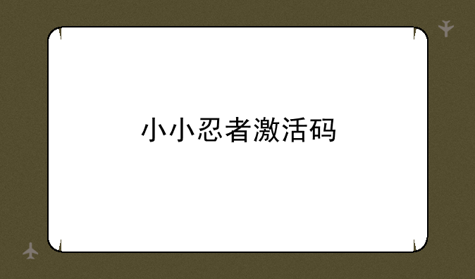 小小忍者激活码